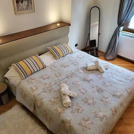 Sophie'S Place Braşov Extérieur photo